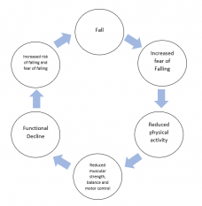 falls in older adult cycle